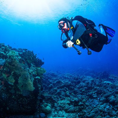 Scuba Diver explores Great Barrier Reef